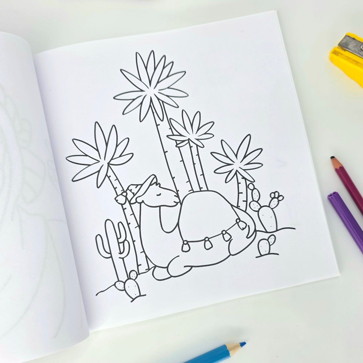 Pack duo: 2 livres de coloriage