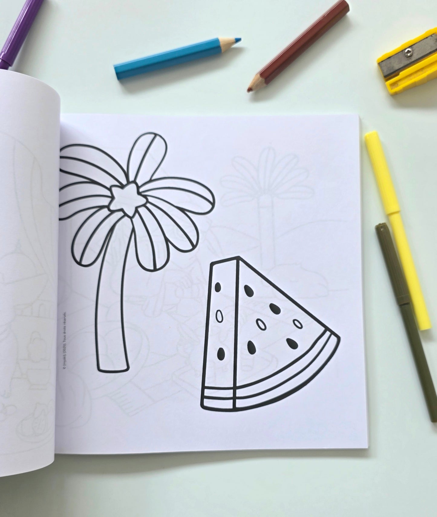 Pack duo: 2 livres de coloriage